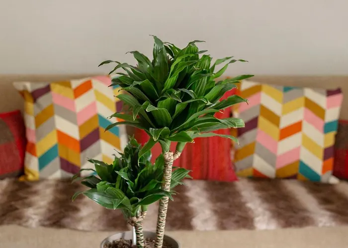 Happy Brook شقة *