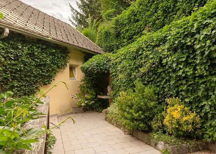 Happy Brook * 布莱德